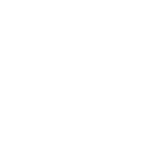 Flor de la isla